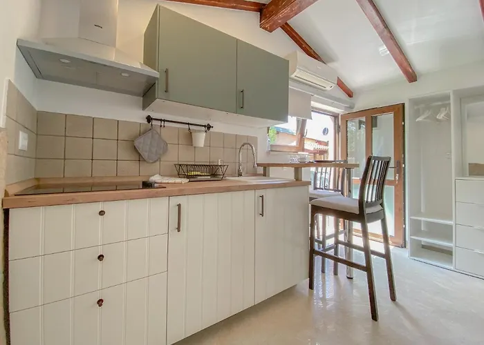 Doris A2 Διαμέρισμα Novigrad Istria